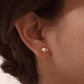 Faustina Earrings